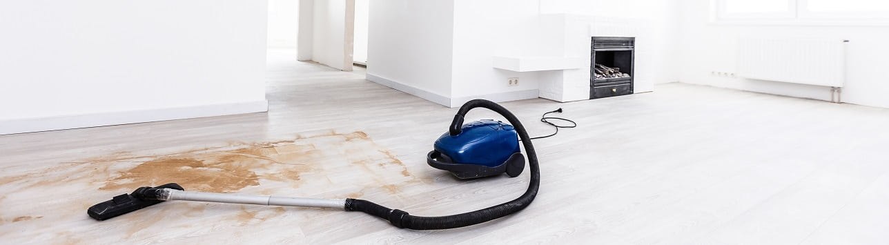 Building Cleaning Services