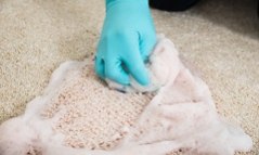 Carpet Shampooing
