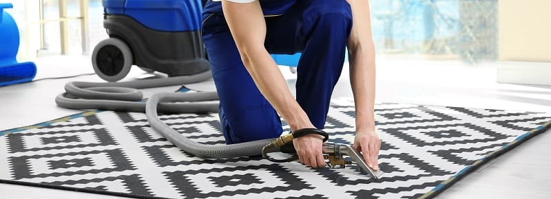 Carpet Cleaning